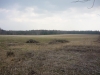 /photos/15696.jpg?w=640&h=480