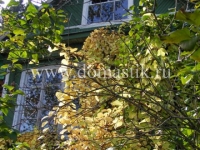 /photos/15778.jpg?w=640&h=480