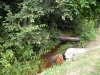/photos/16062.jpg?w=640&h=480