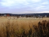 /photos/16067.jpg?w=640&h=480