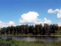 /photos/16657.jpg?w=640&h=480