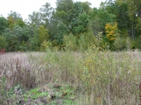 /photos/16818.jpg?w=640&h=480