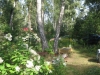 /photos/16894.jpg?w=640&h=480