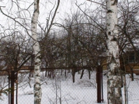 /photos/17298.jpg?w=640&h=480