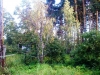 /photos/17632.jpg?w=640&h=480