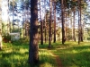 /photos/17633.jpg?w=640&h=480
