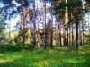 /photos/17634.jpg?w=640&h=480