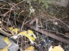 /photos/17644.jpg?w=640&h=480