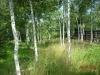 /photos/18439.jpg?w=640&h=480