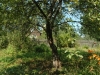 /photos/18446.jpg?w=640&h=480