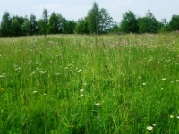 /photos/18558.jpg?w=640&h=480