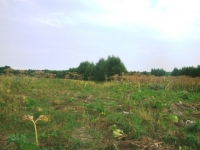 /photos/18638.jpg?w=640&h=480