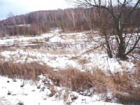 /photos/19032.jpg?w=640&h=480
