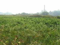/photos/19053.jpg?w=640&h=480