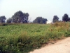 /photos/19056.jpg?w=640&h=480