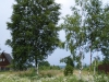 /photos/19329.jpg?w=640&h=480