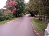 /photos/19439.jpg?w=640&h=480