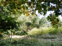 /photos/19592.jpg?w=640&h=480