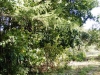 /photos/19594.jpg?w=640&h=480
