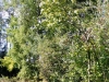 /photos/19599.jpg?w=640&h=480