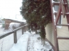 /photos/20250.jpg?w=640&h=480