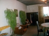 /photos/20272.jpg?w=640&h=480