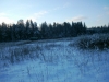 /photos/20300.jpg?w=640&h=480