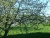 /photos/20600.jpg?w=640&h=480