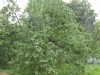 /photos/20626.jpg?w=640&h=480