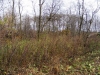 /photos/20680.jpg?w=640&h=480
