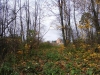 /photos/20681.jpg?w=640&h=480