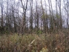 /photos/20682.jpg?w=640&h=480