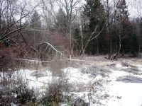 /photos/21477.jpg?w=640&h=480