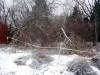 /photos/21479.jpg?w=640&h=480