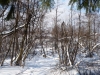 /photos/21862.jpg?w=640&h=480