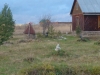 /photos/22305.jpg?w=640&h=480