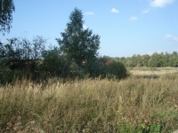 /photos/22464.jpg?w=640&h=480