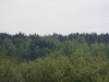 /photos/22658.jpg?w=640&h=480