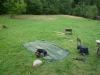 /photos/23145.jpg?w=640&h=480