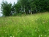 /photos/23382.jpg?w=640&h=480