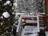 /photos/24124.jpg?w=640&h=480