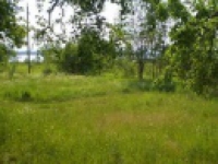/photos/24192.jpg?w=640&h=480