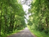 /photos/24194.jpg?w=640&h=480