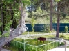 /photos/24234.jpg?w=640&h=480