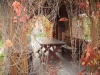 /photos/24652.jpg?w=640&h=480
