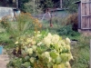 /photos/24732.jpg?w=640&h=480