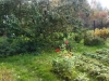 /photos/24733.jpg?w=640&h=480