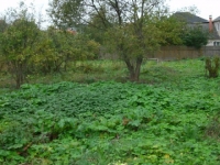 /photos/24766.jpg?w=640&h=480