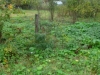 /photos/24767.jpg?w=640&h=480