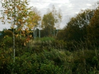 /photos/24770.jpg?w=640&h=480